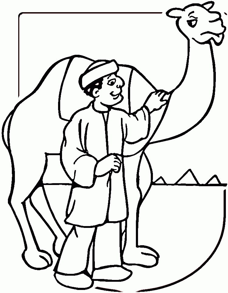 What Is Camel Color