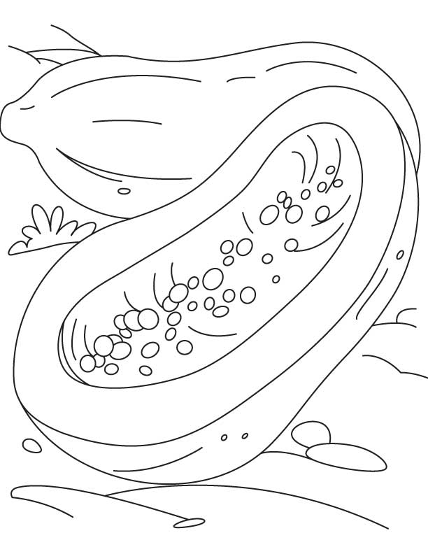 Yellow flesh papaya coloring pages, | Kids Coloring pages, Free
