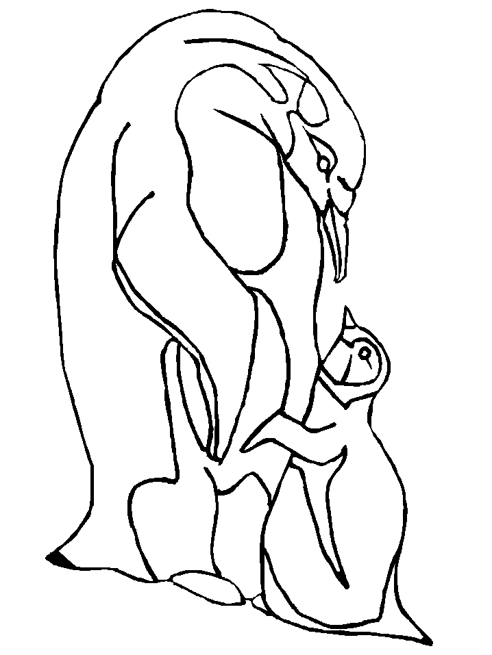 Penguin coloring pages | Coloring