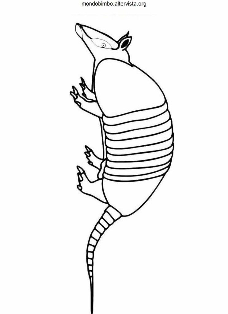 Games Armadillo Coloring Pages Printable 