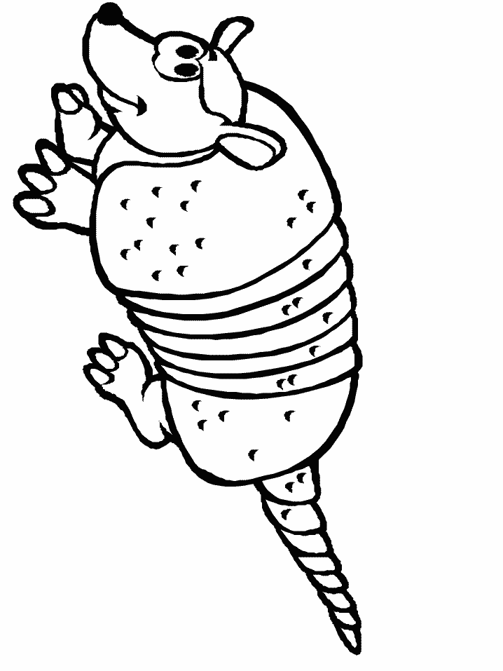 Armadillo Coloring Pages Printable 