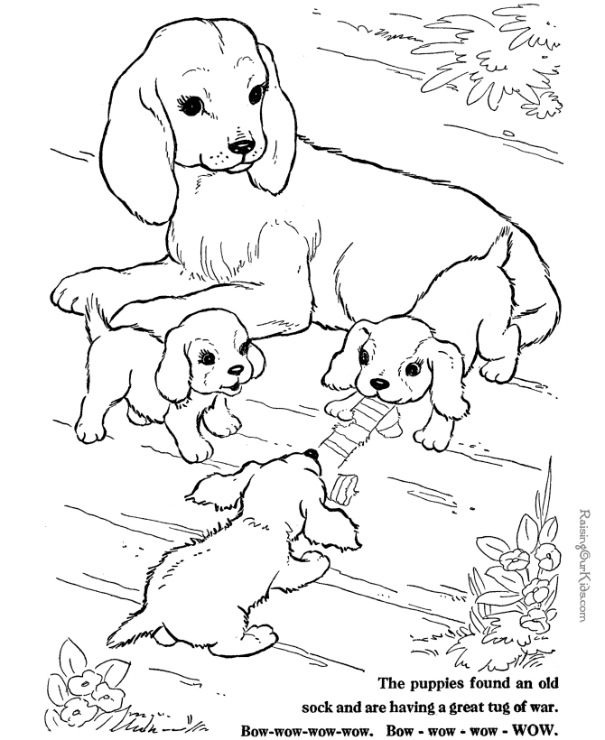 Animal Faces Coloring Pages | All Puppies Pictures and Wallpapers