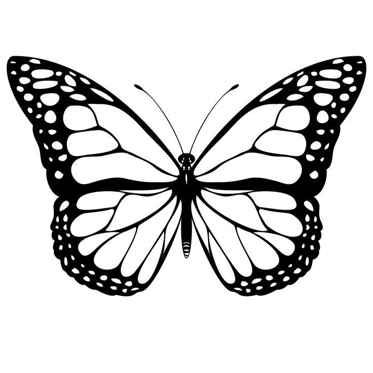 Free Butterfly Template | Everything Printable
