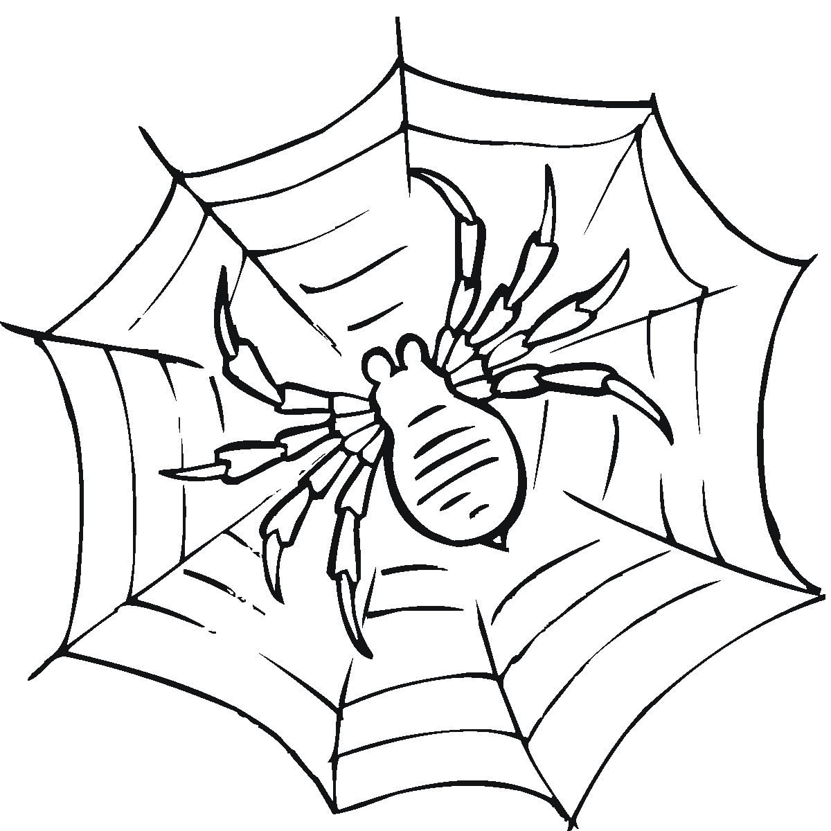 free-coloring-page-of-a-spider-download-free-coloring-page-of-a-spider