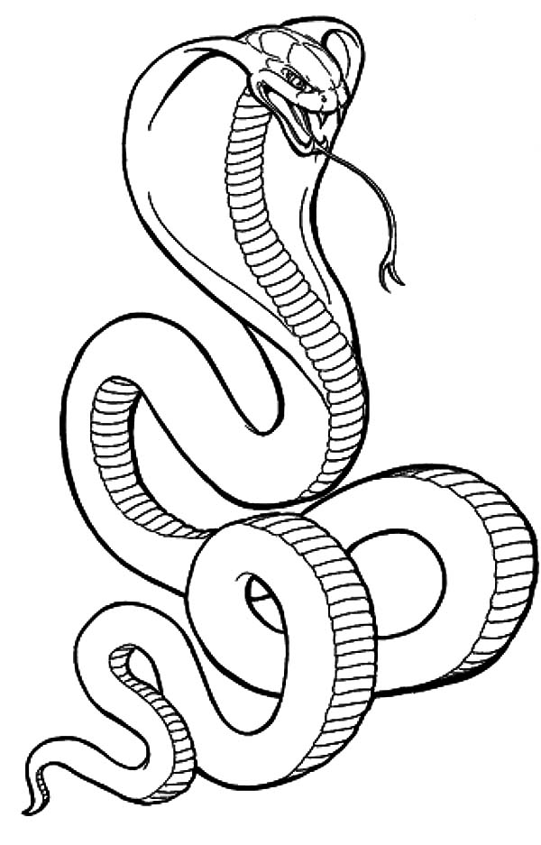 Coloring page - Cobra em ação