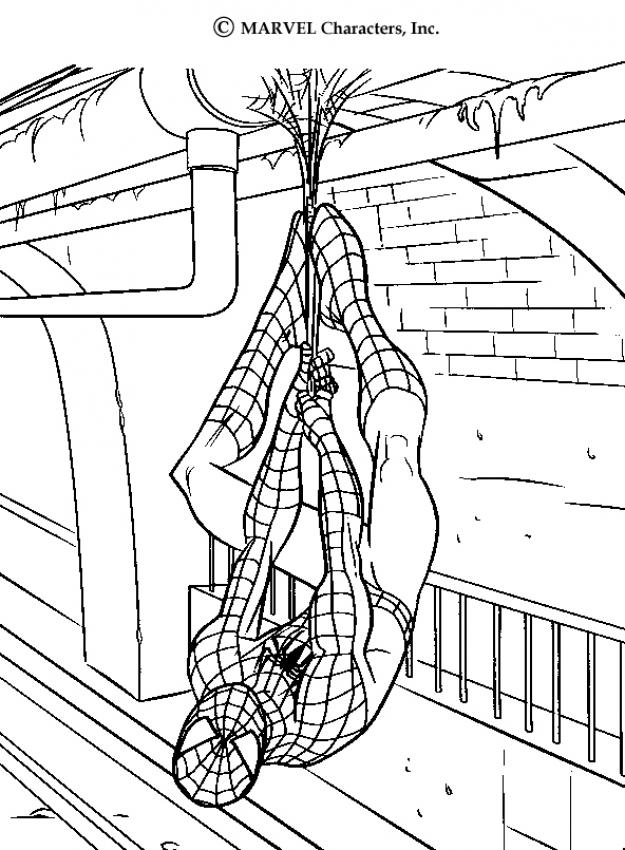 Free Spectacular Spider Man Coloring Pages, Download Free Spectacular ...