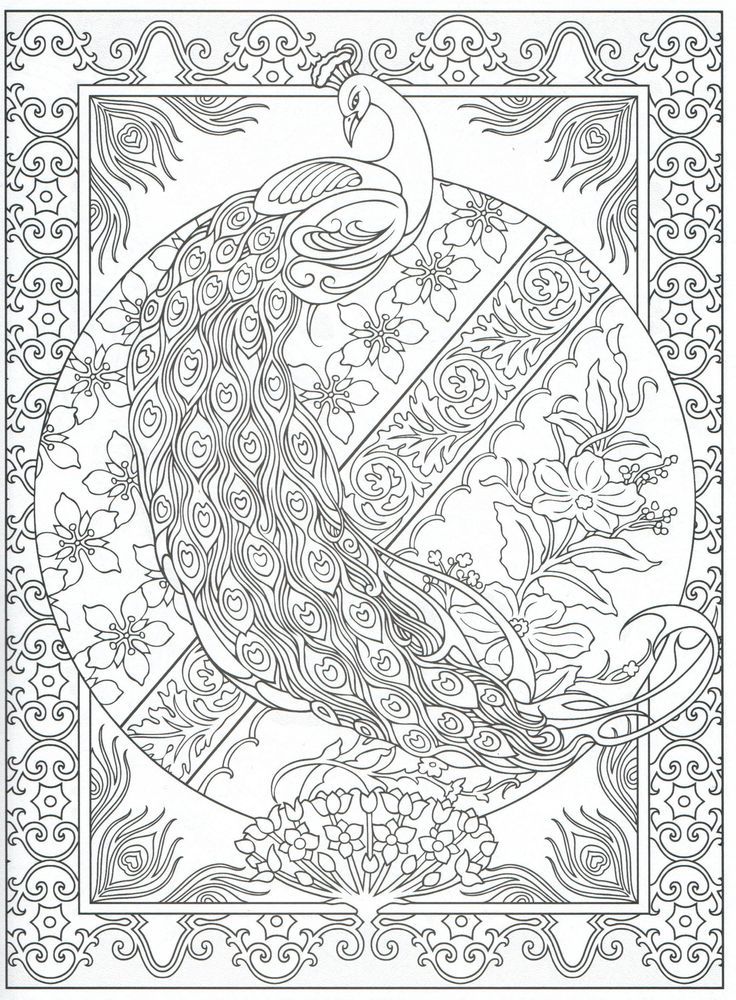 Adult Coloring Pages Peacock