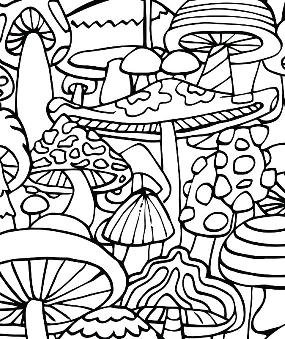 Psychedelic Coloring Book: 40 Stoner Coloring Pages Trippy Adult Coloring  Books Stress Relief and Relaxation Stoner Color Book Weed Coloring Book  (Paperback)