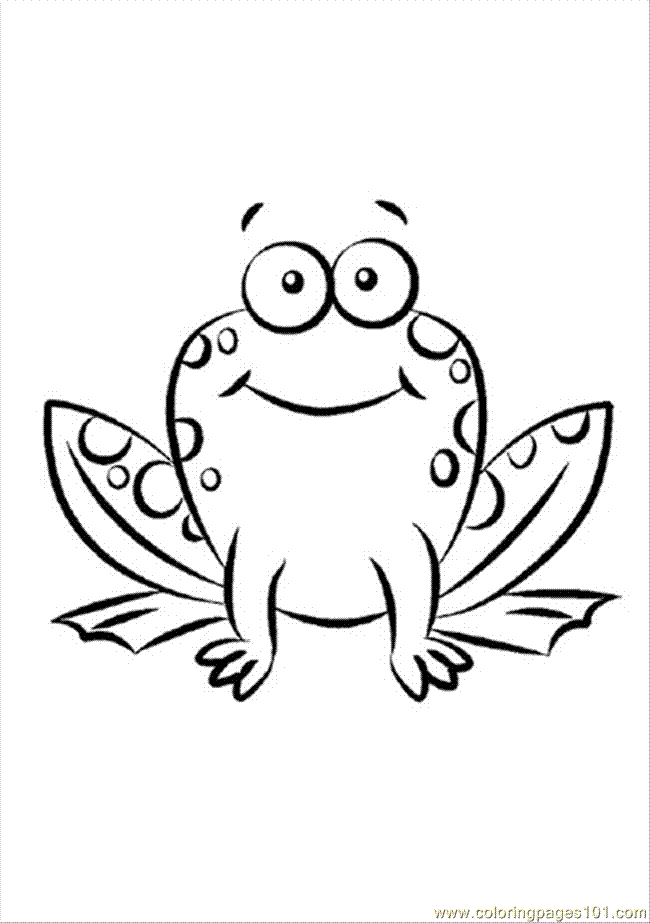 amphibian Colouring Pages