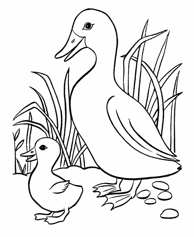 George Washington Coloring Pages Printable