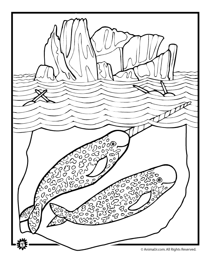 Narwhal-coloring-5 | Free Coloring Page on Clipart Library
