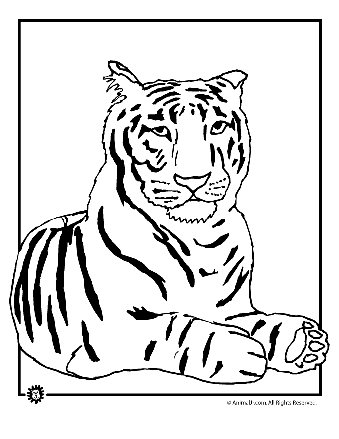 cuties tiger coloring