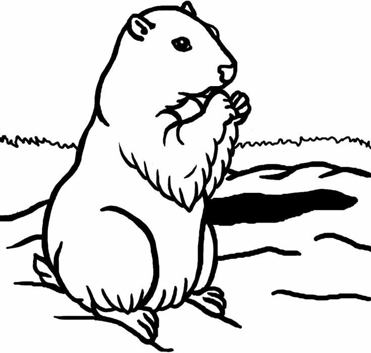 Groundhog Color Pages