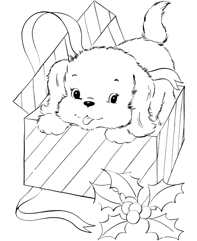 Winter Cardinals Christmas Coloring Page for Adults