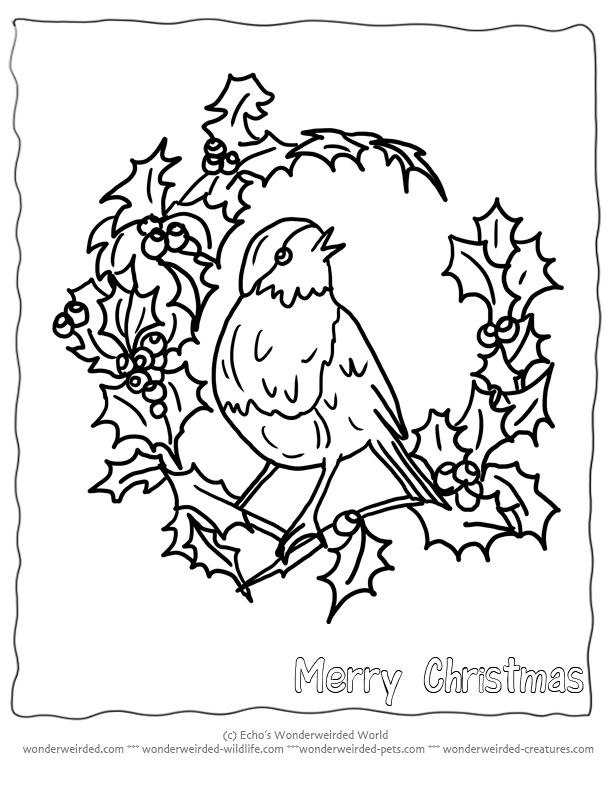 Free Printable Christmas Coloring Pages Birds, Echos Christmas