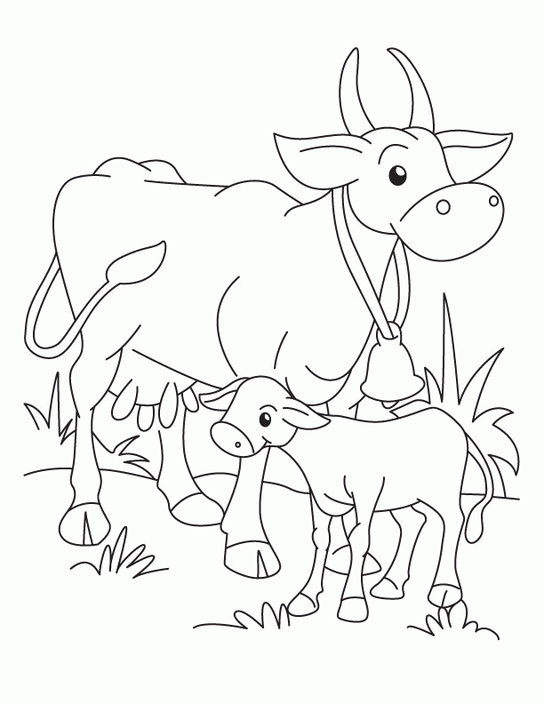 Sketch calf eating grass cow bull farm Royalty Free Vector