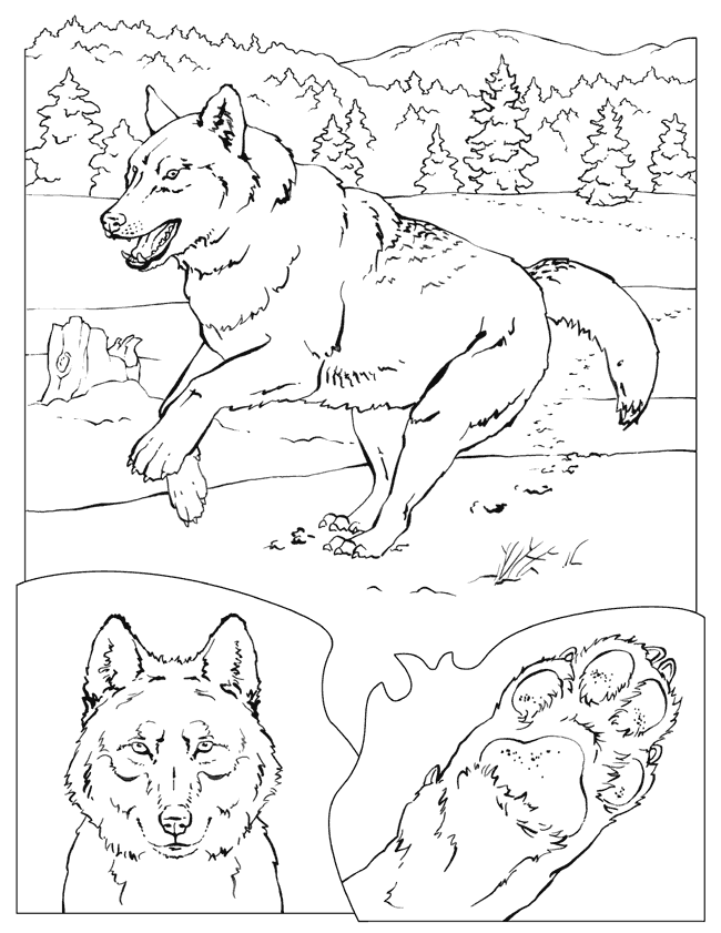 Werewolf Coloring Pages