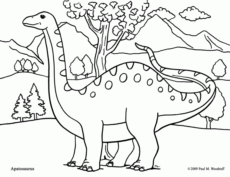 apatosaurus dino colouring pages - Clip Art Library