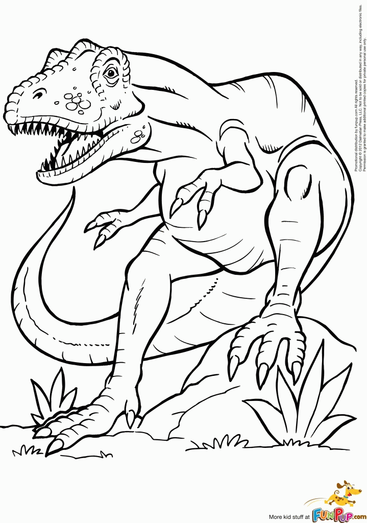 texas tarantula spider animal coloring pages