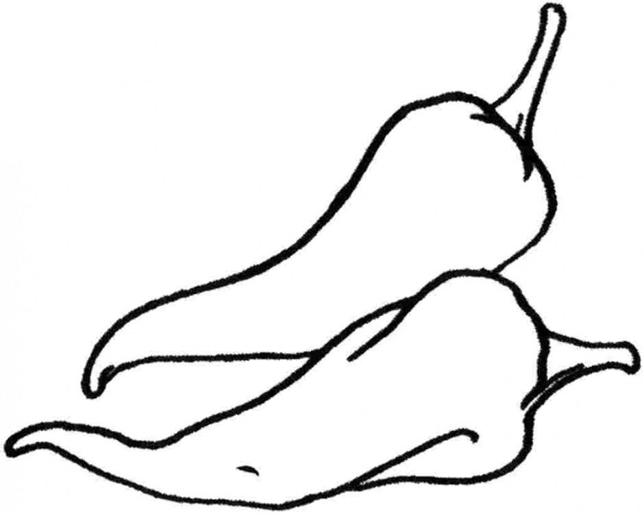 Pumpkin Vegetable Coloring Page For Kids Printable Coloing