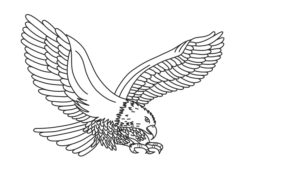 colours drawing wallpaper: Eagle Cartoone Colour Drawing HD