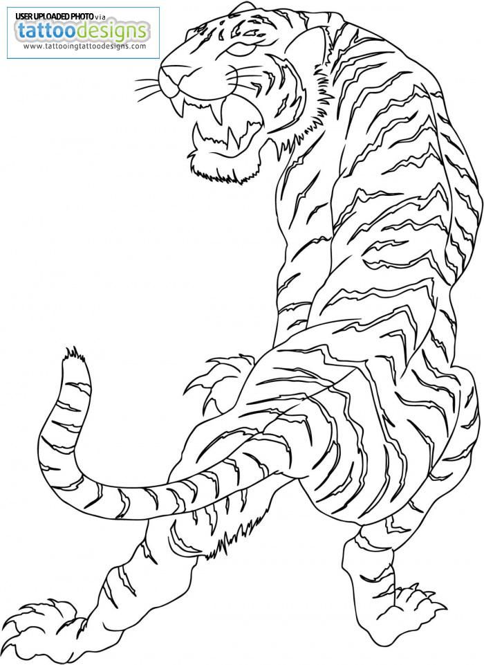 Tiger Outline Stock Vector by ©redrockerz99 66469765