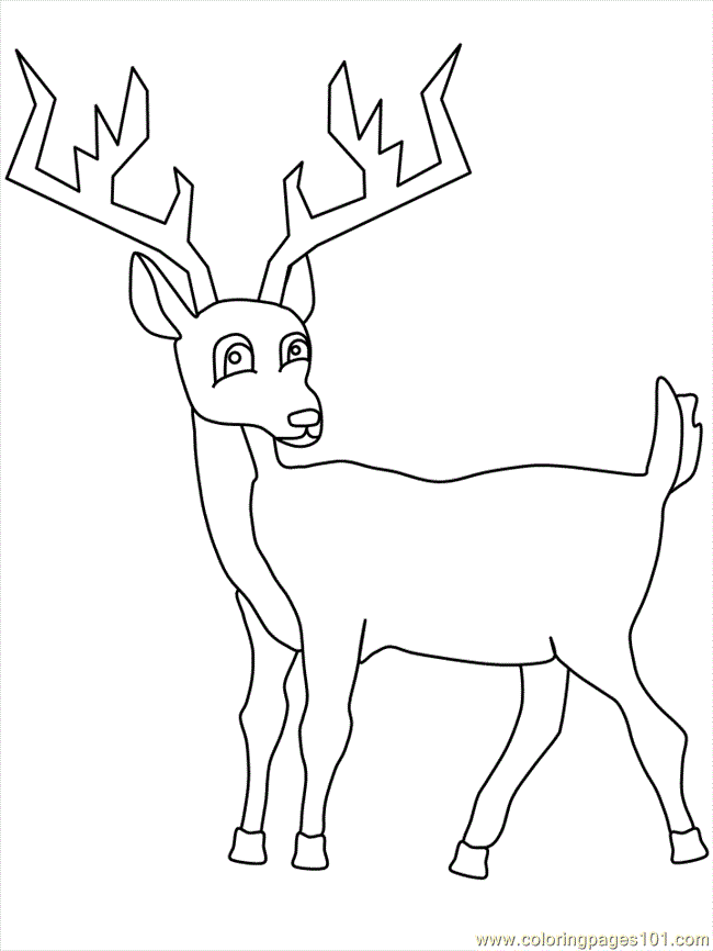 Deer Pictures To Color