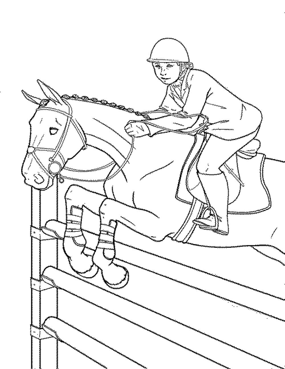 printable-horse-colouring-pages-clip-art-library