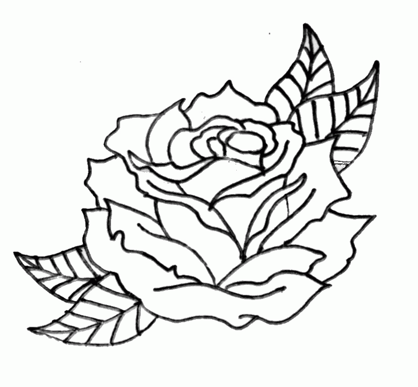 Free Simple Flower Outline, Download Free Simple Flower Outline png ...