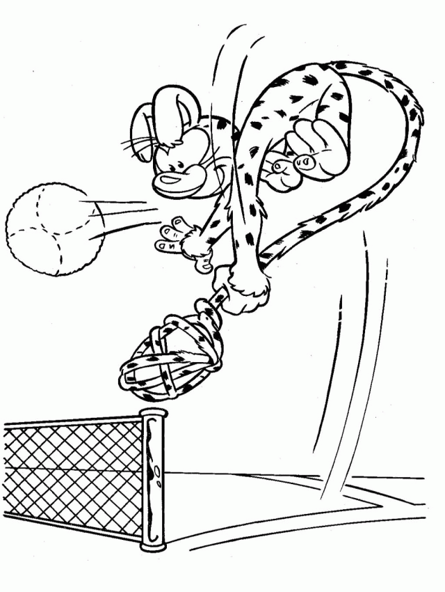 Picture Of A Volleyball