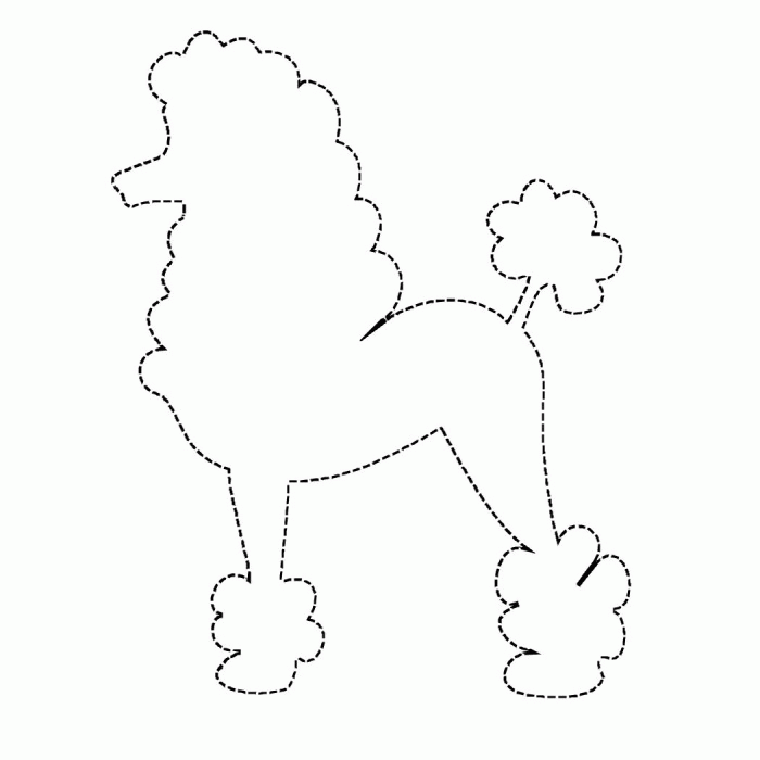 Poodle