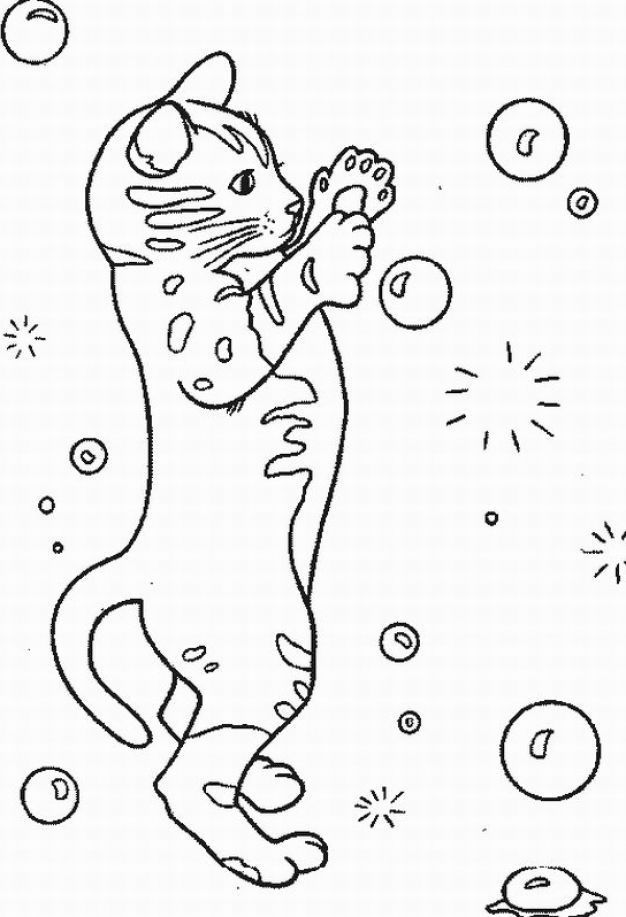 kitten-coloring-pages-to-print-clip-art-library