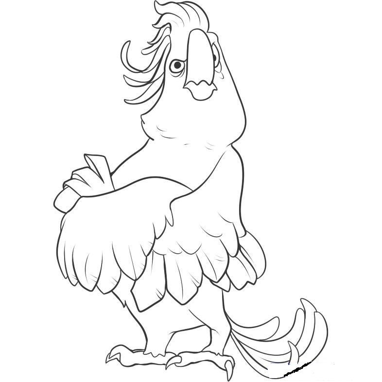 Blue Bird Cartoon