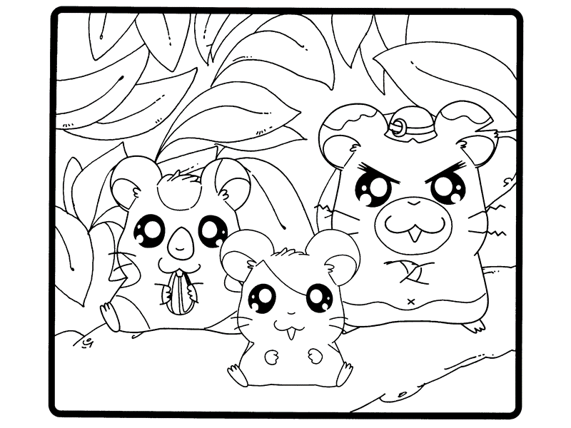 Hamsters Coloring Pages