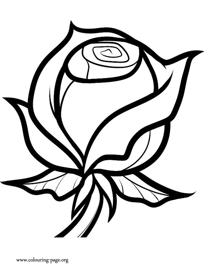 Rose Coloring Sheet