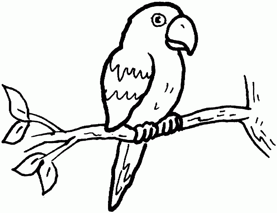 Parrot Clip Art Cartoon | Clipart library - Free Clipart Images