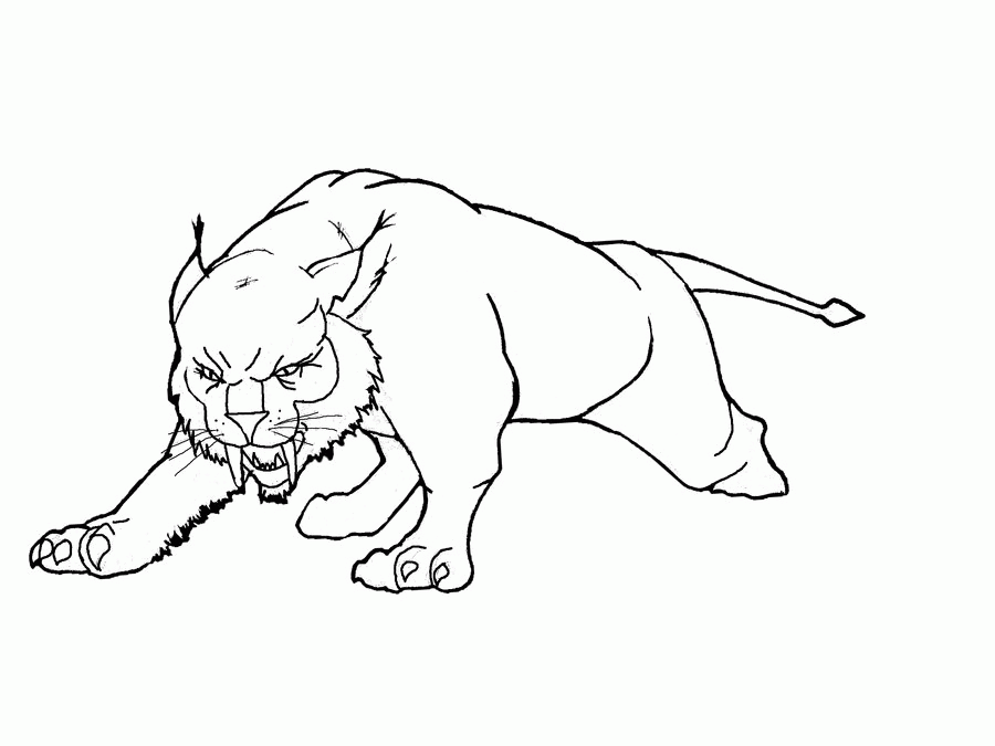 Pics Of Lynx