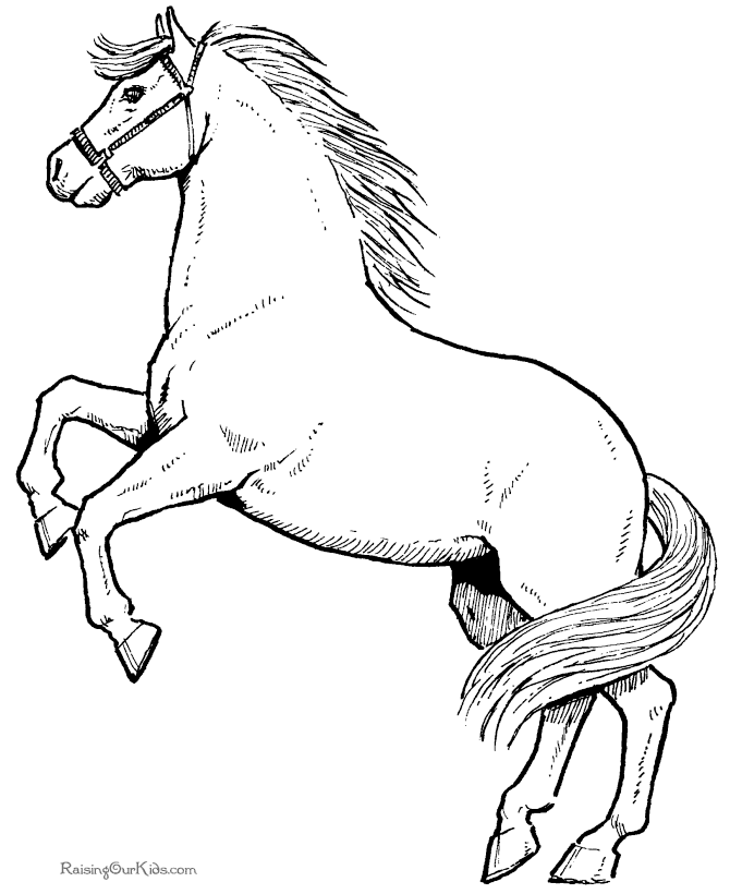 coloring pages of horses and ponies - Free 