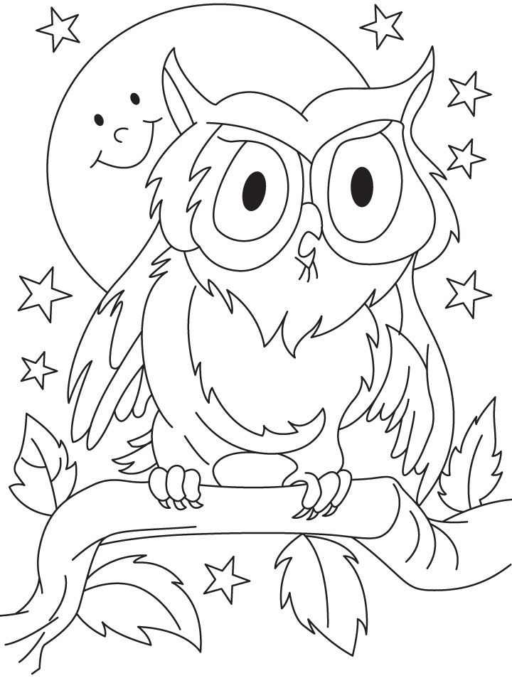 preschool-owl-coloring-pages-clip-art-library