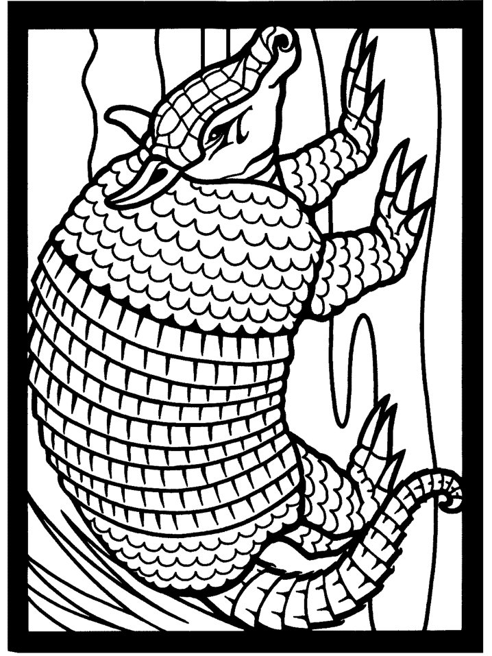 Armadillo2 Animals Coloring Pages  Coloring Book