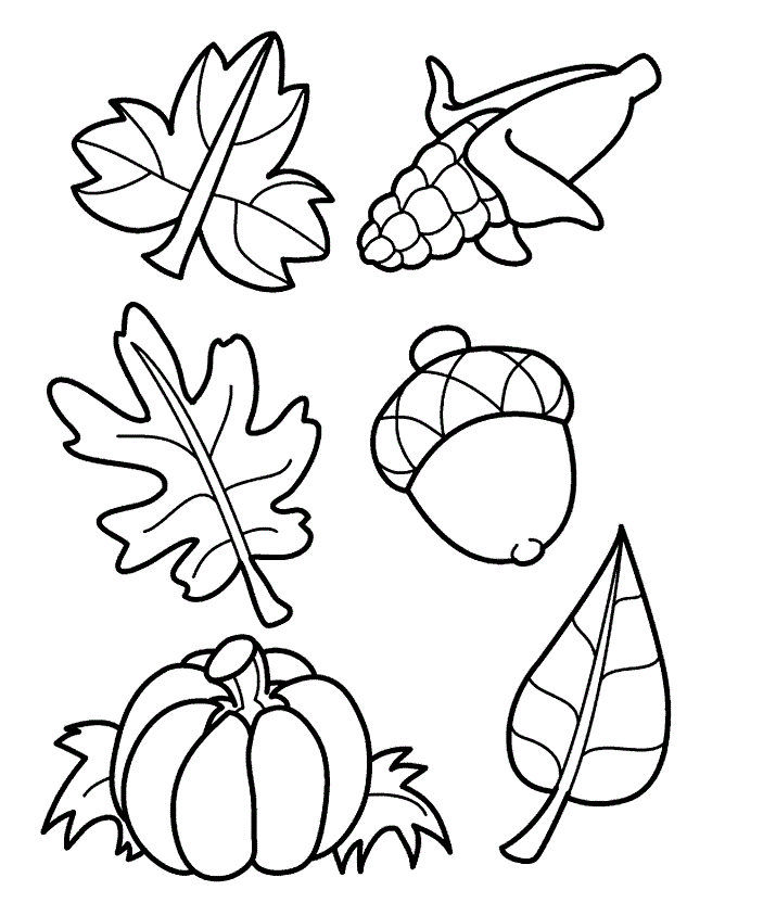 Coloring Pages Of Autumn Leaf Different Leaves Coloring Pages