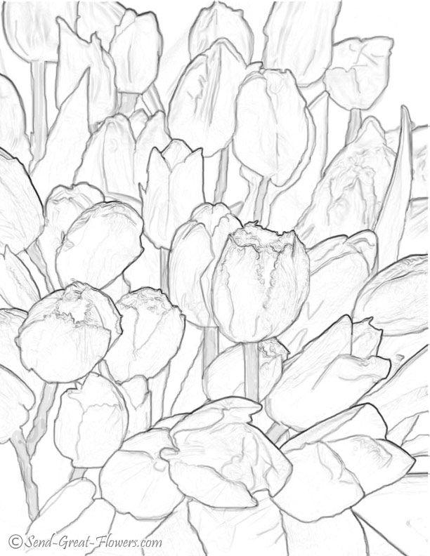 Tulip Coloring Pages: An Engaging Activity for Kids and Adults