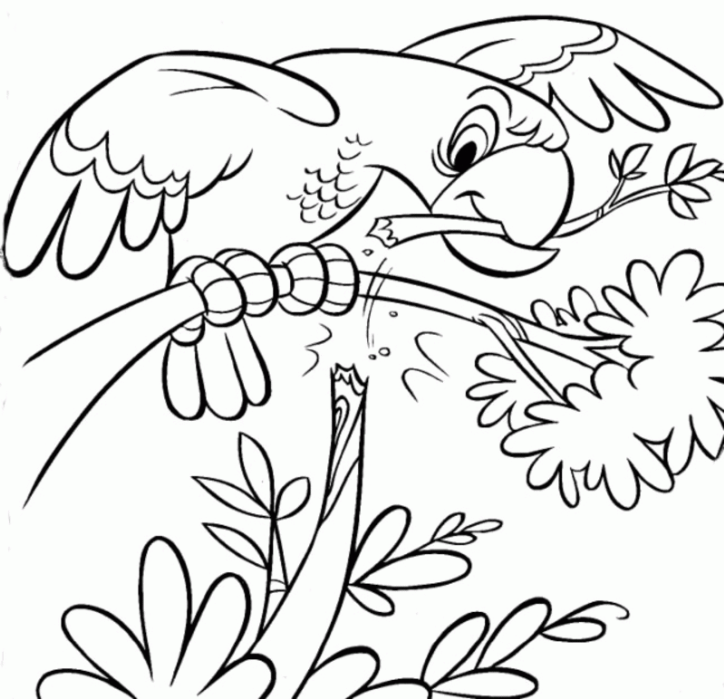Parrot Bird Animals Coloring Pages |Clipart Library| Coloring