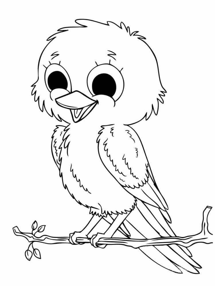 Bird Line Art For Coloring Book Vector Illustration, Bird Drawing, Bird  Sketch, Bird PNG and Vector with Transparent Background for Free Download