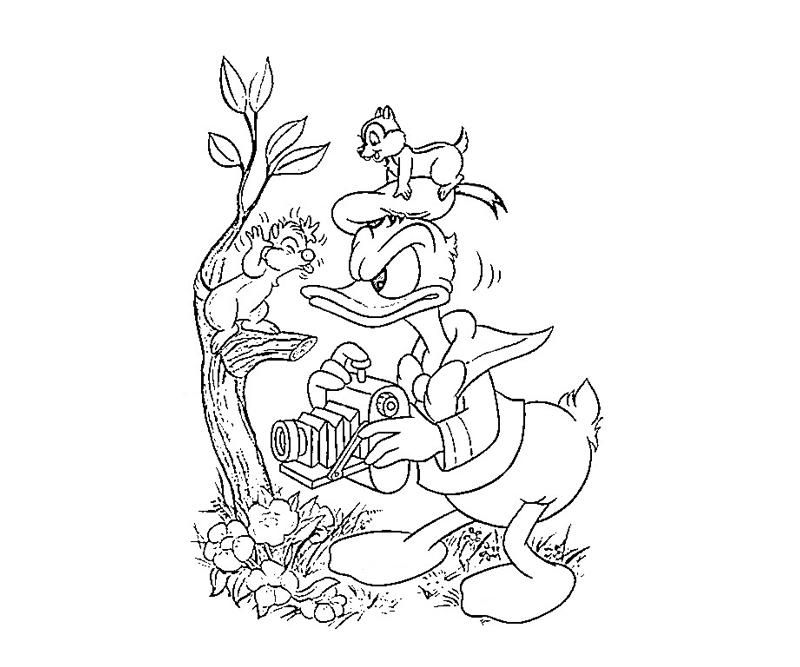 Donald Duck Pics