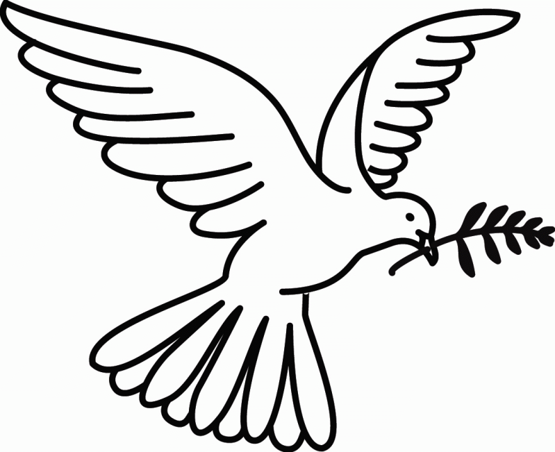 dove freedom symbol