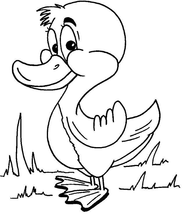 Print And Coloring Page Duck For Kids