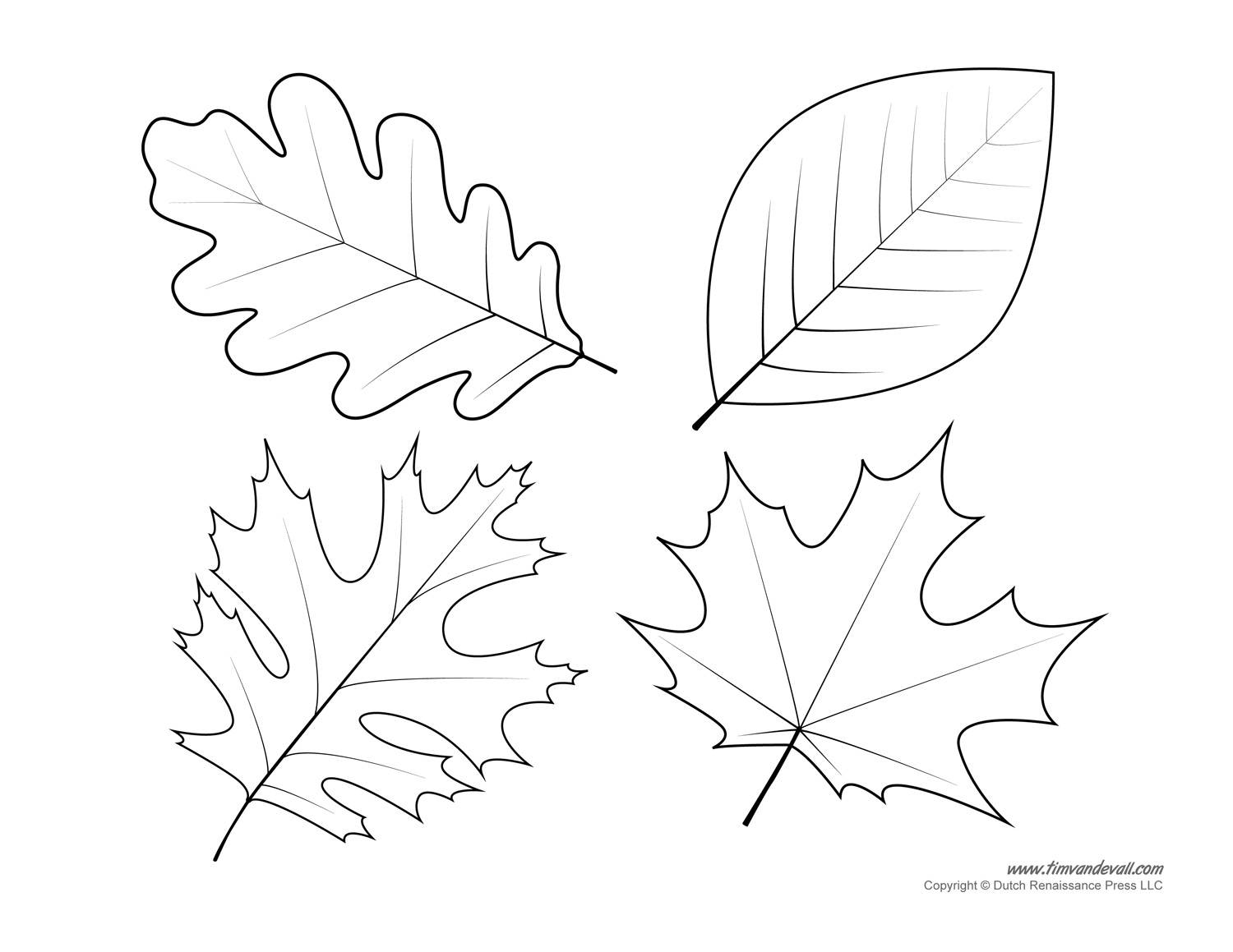 Leaf Printable Template 636893 Clipart Library