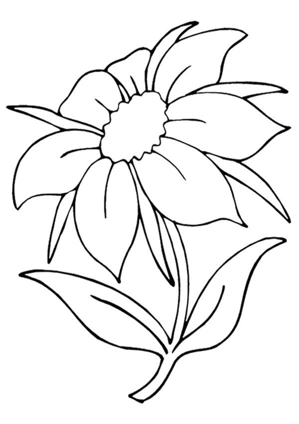 Top 81+ simple flower sketch latest - seven.edu.vn