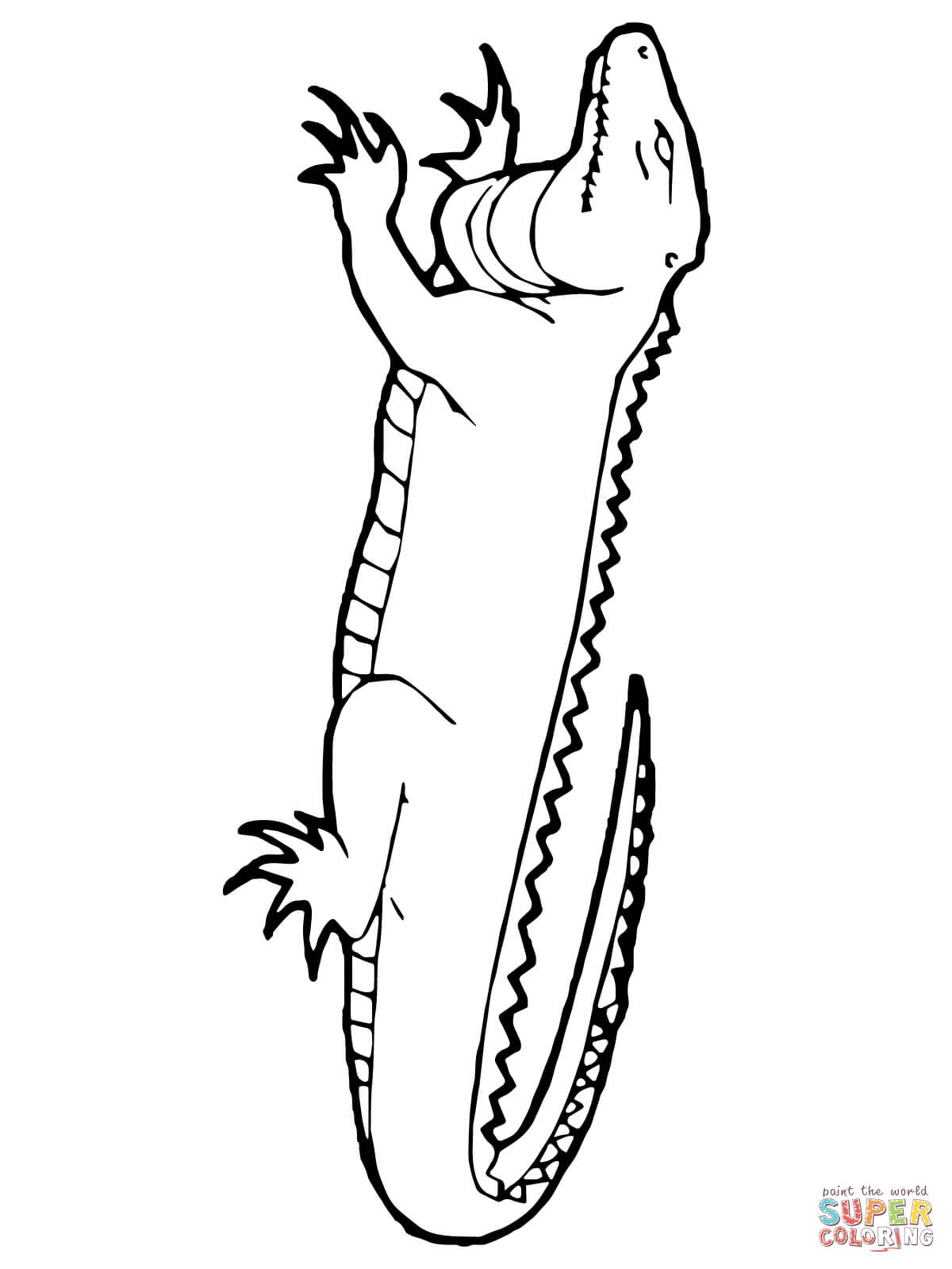 Basilisk Lizard Coloring Page Free Printable Coloring Pages